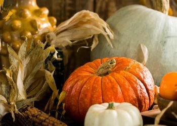 pumpkins_on_a_table pumpkins_on_a_table